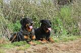 BEAUCERON 340